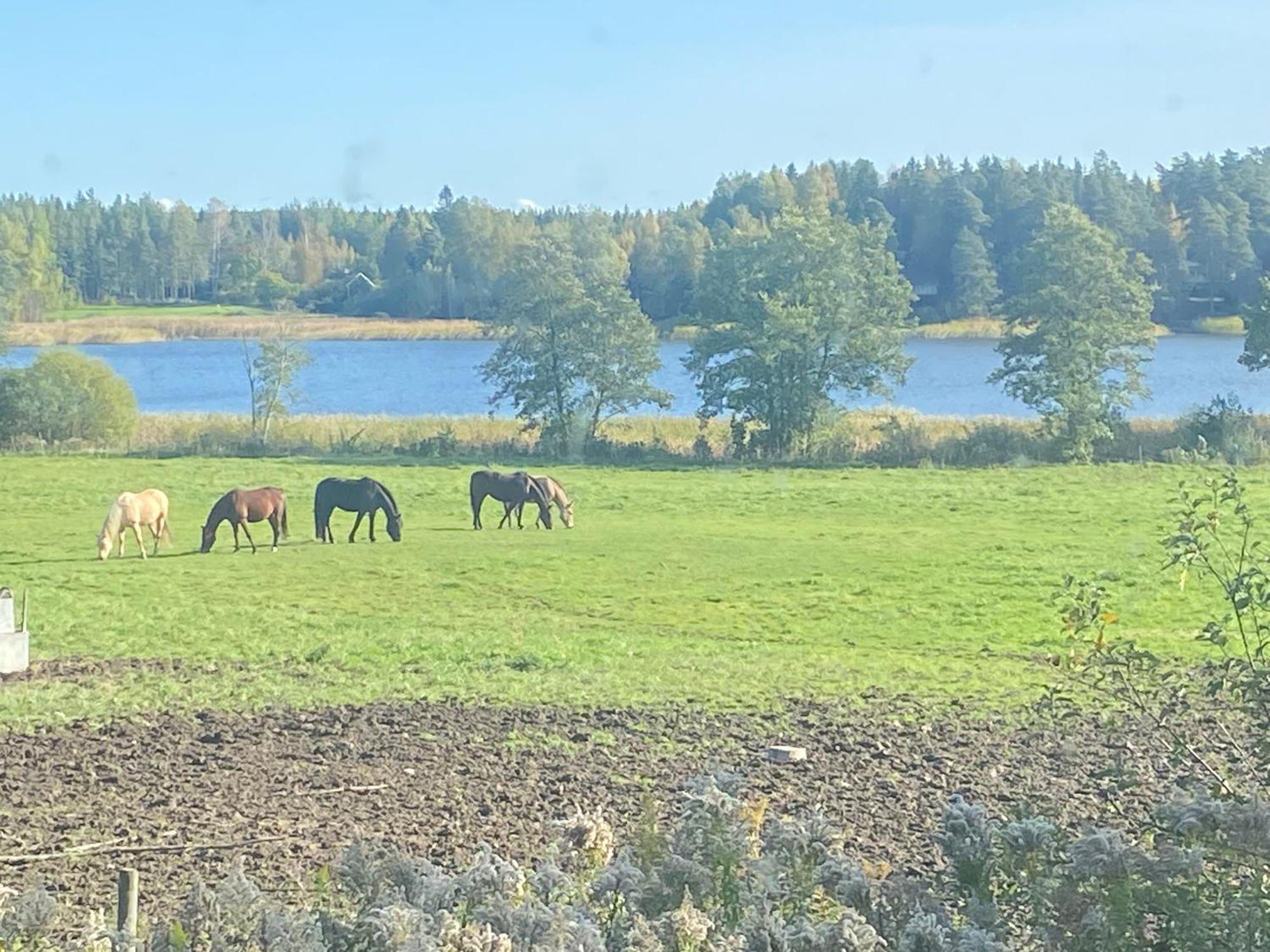 Ulvsby Ranch Western Camp Karlstad Exterior foto