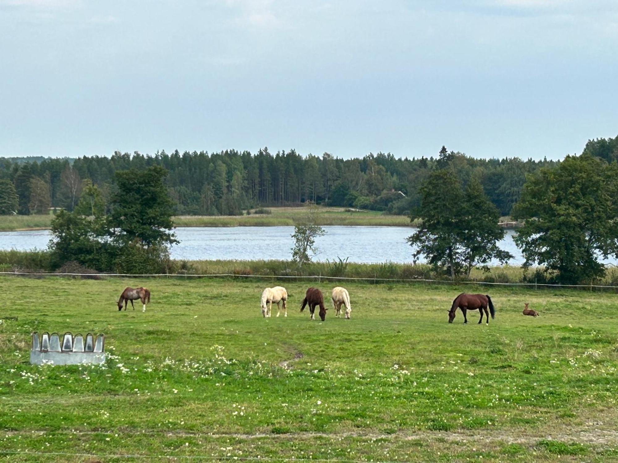 Ulvsby Ranch Western Camp Karlstad Exterior foto